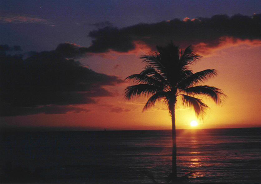 Hawaiian Sunset